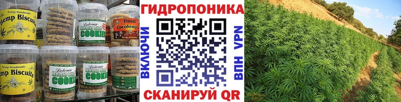 kraken   Шумерля  Печенье с ТГК марихуана 
