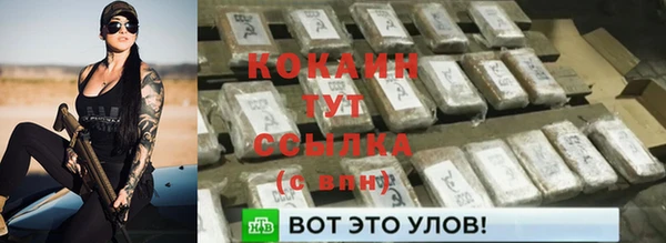 индика Беломорск