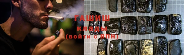 индика Беломорск