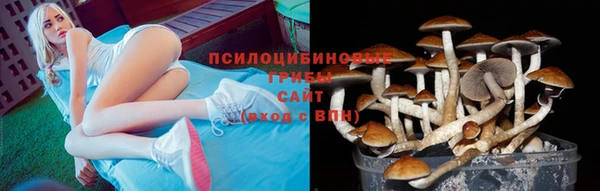 сатива Балахна