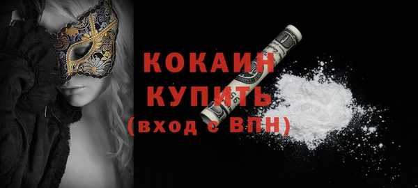 индика Беломорск