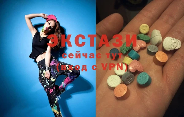 индика Беломорск