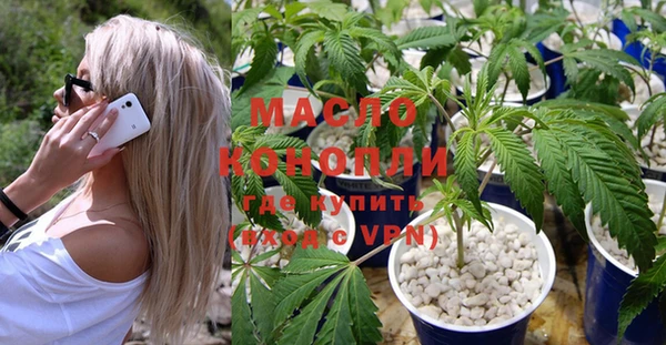 индика Беломорск